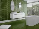 Bathroom Ceramic Tile Designs - Looking for Bathroom Ceramic Tile ...