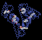 <b>serum albumin</b> structures