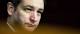 Ted Cruz denounces Supreme Court ruling on warrantless DNA collection