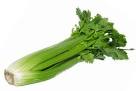 celery pronunciation