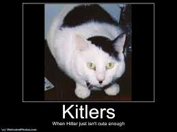 Kitlers - Cats that look like