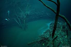 Jika anda seorang penyelam, maka anda harus mengunjungi Cenote Angelita, Mexico. Disana ada sebuah gua. Jika anda menyelam sampai kedalaman 30 meter, airnya air segar (tawar), namun jika anda menyelam sampai kedalaman lebih dari 60 meter, airnya menjadi air asin, lalu anda dapat melihat sebuah "sungai" di dasarnya, lengkap dengan pohon dan daun daunan. Namun pengkaji mengatakan, itu bukanlah sungai biasa, itu adalah lapisan hidrogen sulfida, namun nampak seperti sungai... luar biasa bukan? Lihatlah betapa hebatnya ciptaan Allah s.w.t. Jika anda seorang penyelam, maka anda harus mengunjungi Cenote Angelita, Mexico. Disana ada sebuah gua. Jika anda menyelam sampai kedalaman 30 meter, airnya air segar (tawar), namun jika anda menyelam sampai kedalaman lebih dari 60 meter, airnya menjadi air asin, lalu anda dapat melihat sebuah "sungai" di dasarnya, lengkap dengan pohon dan daun daunan. Namun pengkaji mengatakan, itu bukanlah sungai biasa, itu adalah lapisan hidrogen sulfida, namun nampak seperti sungai... luar biasa bukan? Lihatlah betapa hebatnya ciptaan Allah s.w.t.