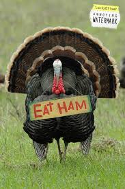 Turkey Turkey with a sign saying eat ham