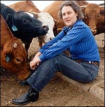in Temple Grandin biopic