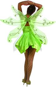 fairy costumes wings