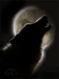 الذئب Wolf