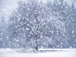 http://t3.gstatic.com/images?q=tbn:HWnb2AAxhvNBcM:http://www.softpedia.com/screenshots/DX-Winter-Snow-Screensaver_1.PNG