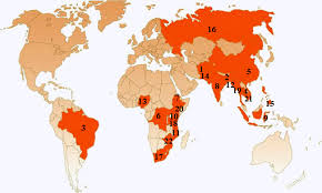 Tuberculosis in Countries