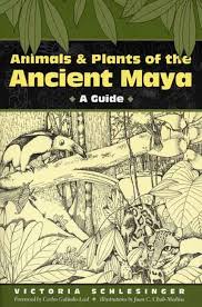 ancient mayan animals