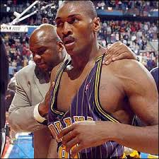 Ron Artest Picture