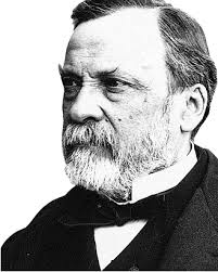 Pasteur (1822 - 1895): Khám phá các vi trùng gây bệnh Impasteur