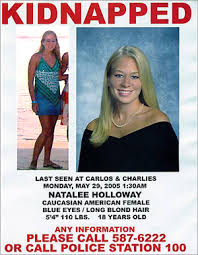 Van der Sloot confesses to