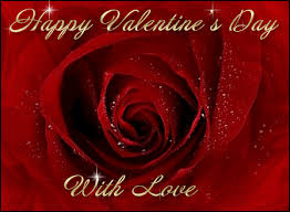valentines day rose