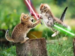 Squirrels and Kittens Battle