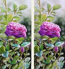 how to paint roses