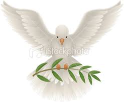 اجمل ماكتب محمود درويش Istockphoto_9356916-dove-with-olive-branch