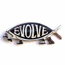 Evolve Fish lapel pin.