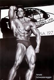 Arnold Bodybuilding Poster