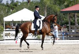 Dressage: Dressage takes place