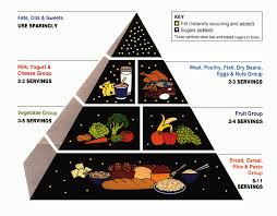 عشر نصائح صحية مهمة للانسان USDA_Food_Pyramid
