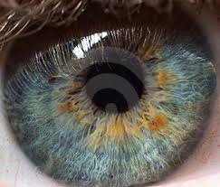 Tus Ojos. Pupila-del-ojo-humano-thumb10160109
