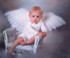 angel wings babies