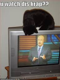 dr phil funny