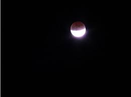 Lunar Eclipse Tonight!