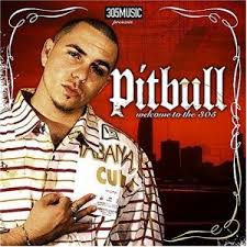 Pitbull-I Know You Want Me (Calle Ocho) Pitbull-I Know You Want Me (Calle Ocho)