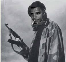 Posted in: Barack Obama,Guns