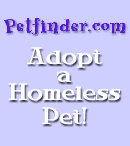 available at Petfinder.com