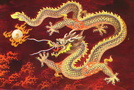 dragon pictures
