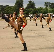 North Korean government