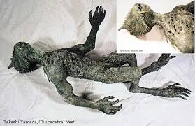 Anyway, this chupacabra