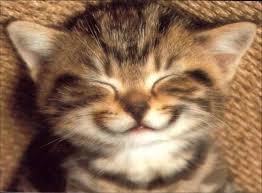      Chat-sourire