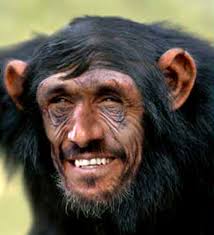 Mahmoud "Monkey Boy" Ahmadinejad See full size image