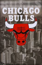 Bulls. chicago bulls