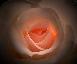 Ver imagen en tamaño completo