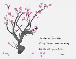 japanese flowering cherry