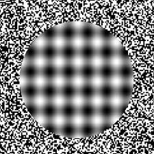 New Optical Illusion