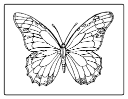 Just colour in this butterfly