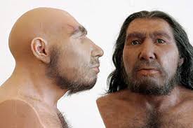 TAŞ DEVRİ MAGARA İNSANI Neandertal