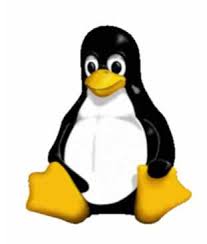 Linux básico Linux
