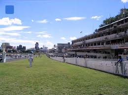 http://t3.gstatic.com/images?q=tbn:iolPgBYHOejr5M:http://www.ile-maurice-sejour.com/images/ile-maurice-champs-de-mars-hippodrome-1.jpg