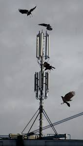 Oliver Kunkel - Artist -