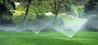 landscaping company