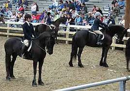 horses at Deerfield Fair