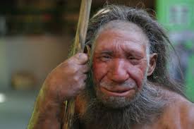 TAŞ DEVRİ MAGARA İNSANI Neanderthal