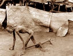 نقره لتكبير أو تصغير الصورة ونقرتين لعرض الصورة في صفحة مستقلة بحجمها الطبيعي