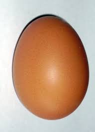 http://t3.gstatic.com/images?q=tbn:kNajIsx8yys1oM:http://upload.wikimedia.org/wikipedia/commons/8/81/Brown_chicken_egg.jpg